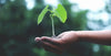 Tipps für eine umwelt-freundliche Hausreinigung
